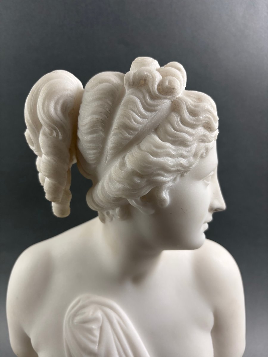 19th Marble Bust Of The Venus Italica, Grand Tour, Florence-photo-2