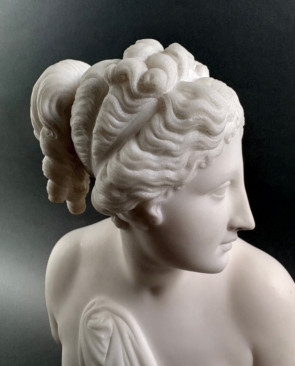 19th Marble Bust Of The Venus Italica, Grand Tour, Florence-photo-3