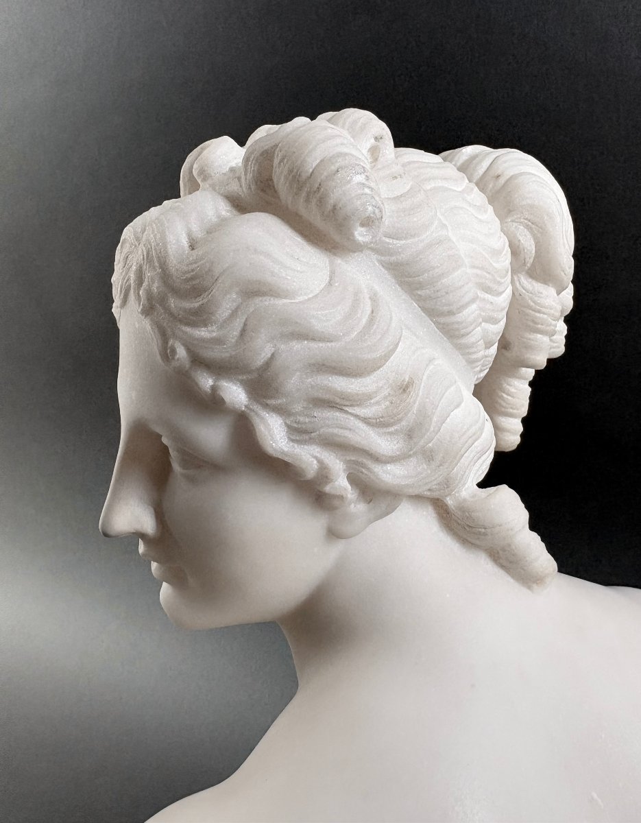 19th Marble Bust Of The Venus Italica, Grand Tour, Florence-photo-6
