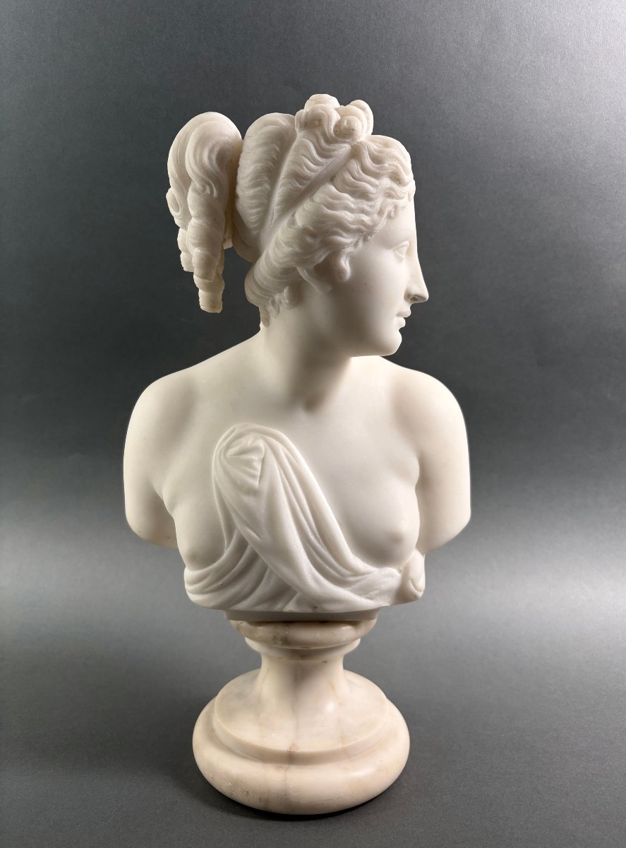 19th Marble Bust Of The Venus Italica, Grand Tour, Florence