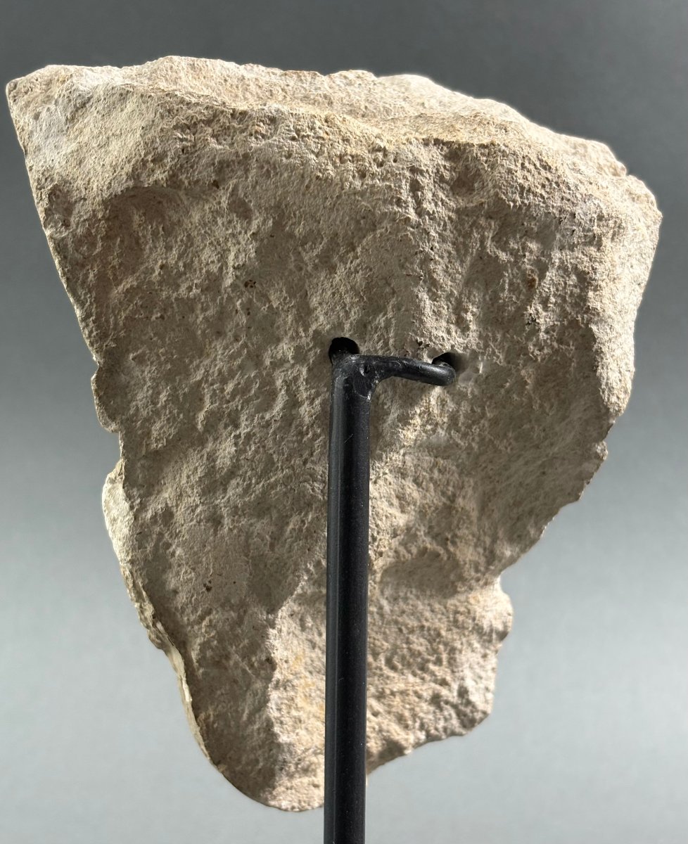 Limestone Bishop's Head, Fragment, France, 15th Century-photo-4
