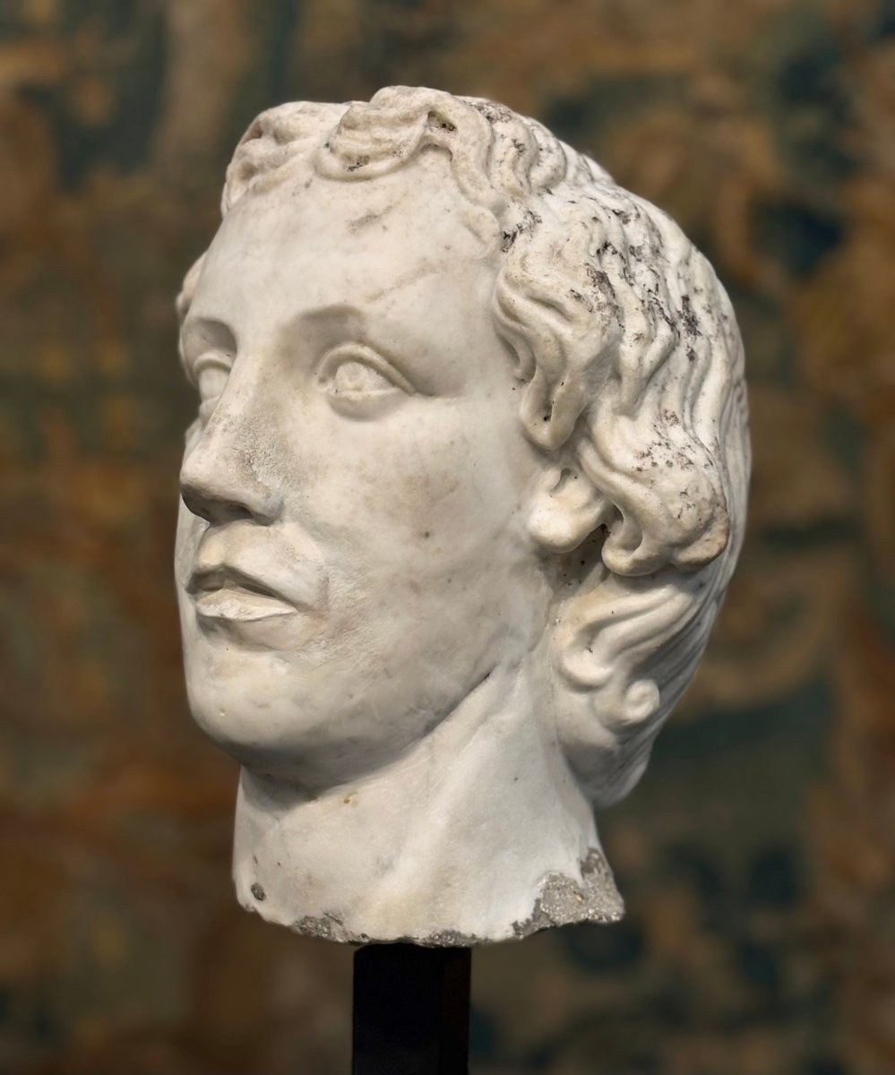 16th Large  Marble Head Of Alexander The Great Italian Renaissance -photo-4