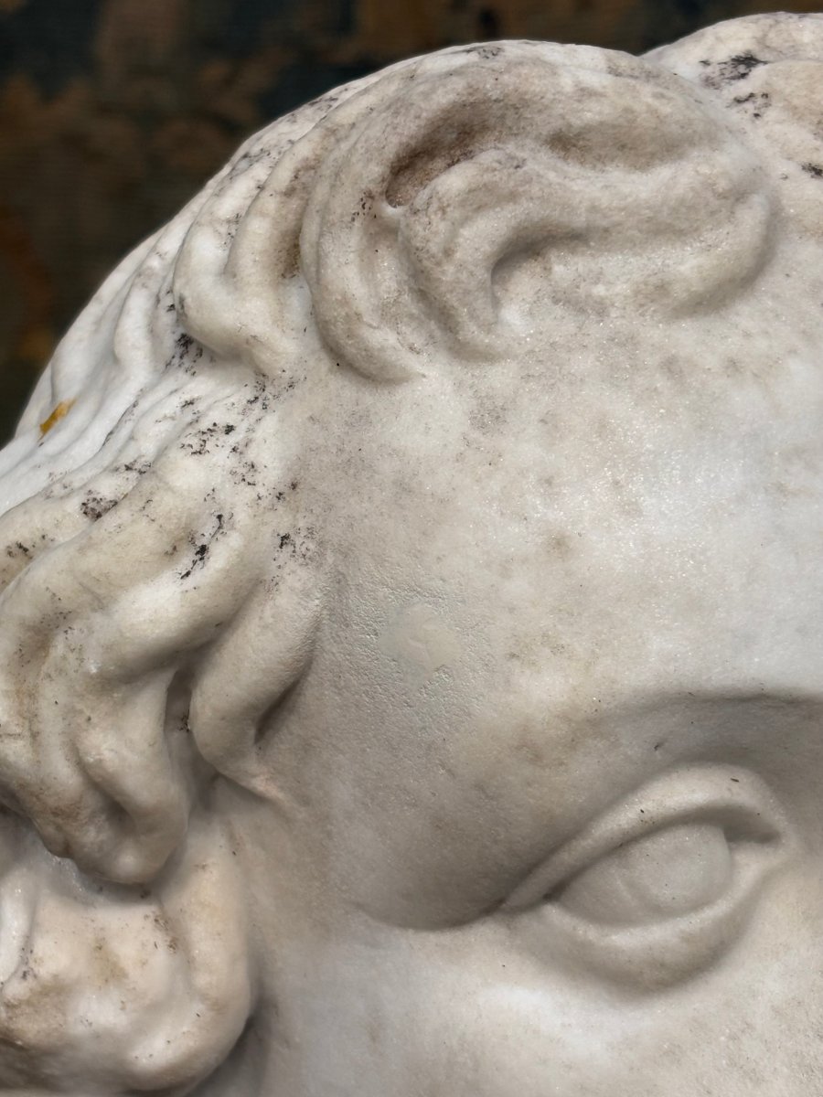16th Large  Marble Head Of Alexander The Great Italian Renaissance -photo-3