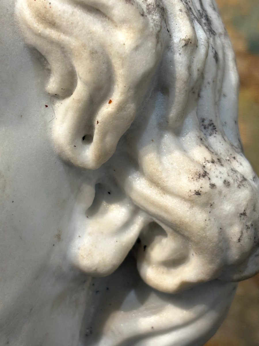 16th Large  Marble Head Of Alexander The Great Italian Renaissance -photo-4