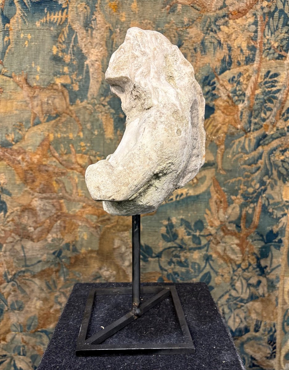 Triton en Marbre Fragment de Sculpture Baroque Italie 17éme-photo-7