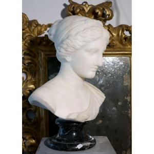 Early 19th  Neoclassical Marble Bust  Aphrodite Of Cnidia 