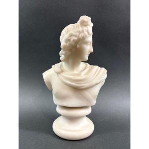 Buste Néoclassique en Marbre Apollon Grand Tour Roma 19éme