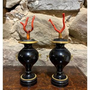 Paire de Vases  Bois et Bronze Doré avec Corail Cabinet de Curiosité