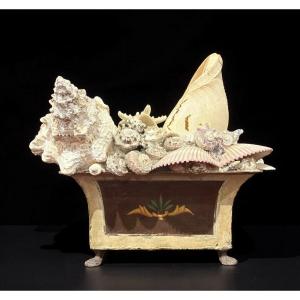 Early 20th Large Shell Composition Naturalia Wunderkammer