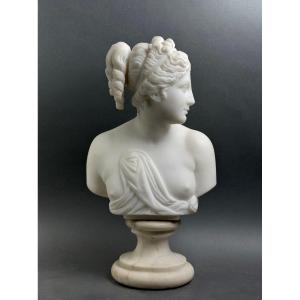 19th Florentine Marble Bust Of The Venus Italica, Grand Tour