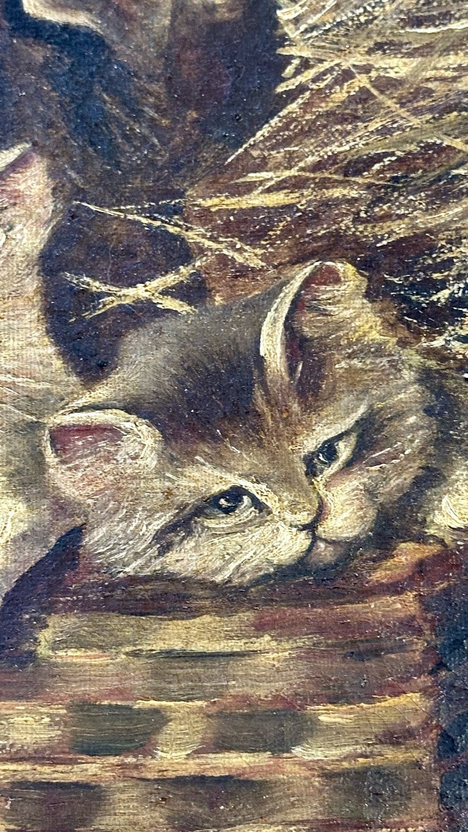 Tableau de chats, Huile sur toile "Chatons dans une valise en osier" - Napoléon III.-photo-4
