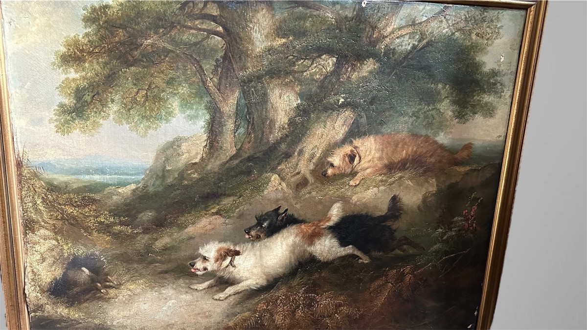 Tableau, huile sur toile, "Terriers chassant un lapin" signé G. Armfield - 19ème siècle. -photo-2