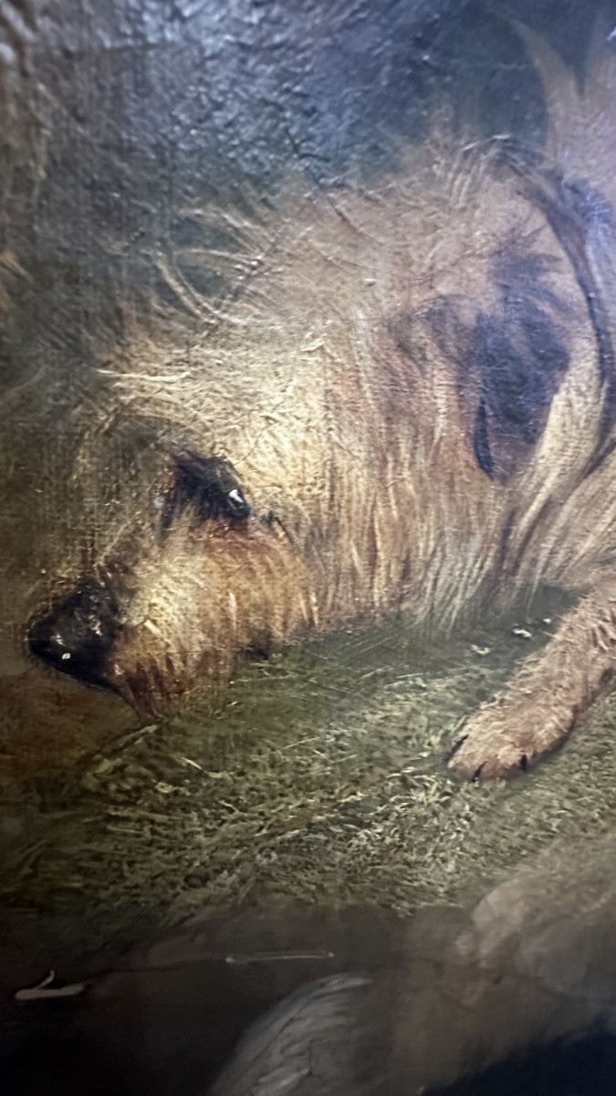 Tableau, huile sur toile, "Terriers chassant un lapin" signé G. Armfield - 19ème siècle. -photo-3