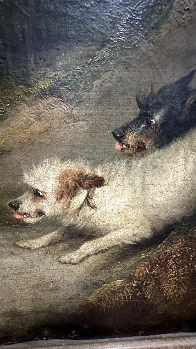 Tableau, huile sur toile, "Terriers chassant un lapin" signé G. Armfield - 19ème siècle. -photo-4