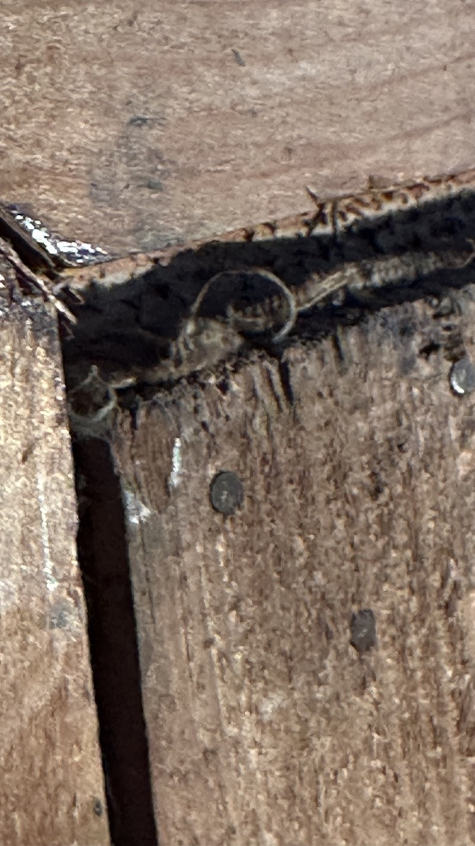 19th-century Pastoral Painting "landscape With Figures" – Oil On Canvas With Gilded Frame-photo-7