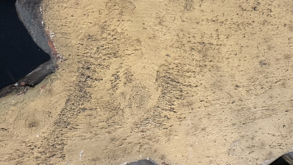 Paire de chérubins ailés en bois doré – XVIIIe/XIXe siècle-photo-5