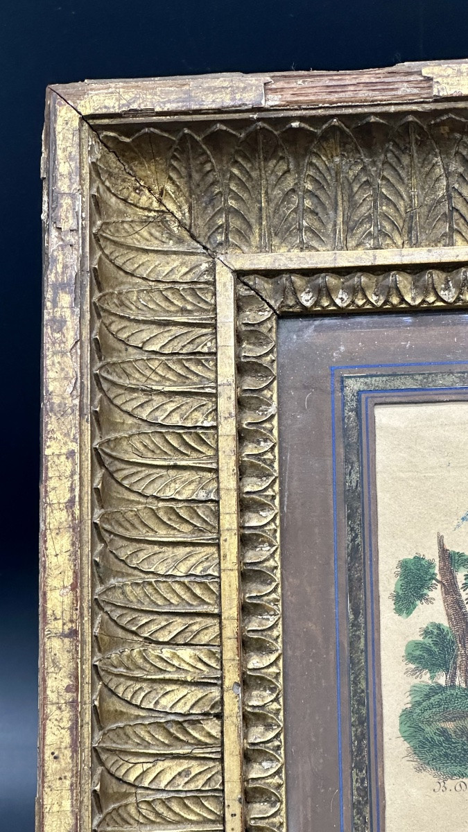 Gravure coloriée « Diane et Cupidon » - Néoclassique-photo-2