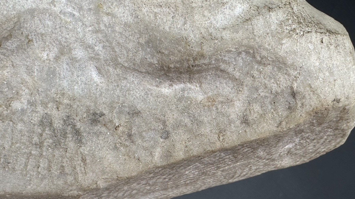 Buste en marbre « Jeune fille » (Jeanne d'Arc ?) - XIXe siècle-photo-6