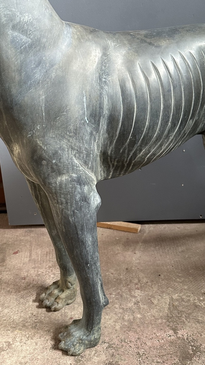 Sculpture en bronze représentant un lévrier stylisé (Xoloitzcuintli) - début du XXe siècle-photo-3