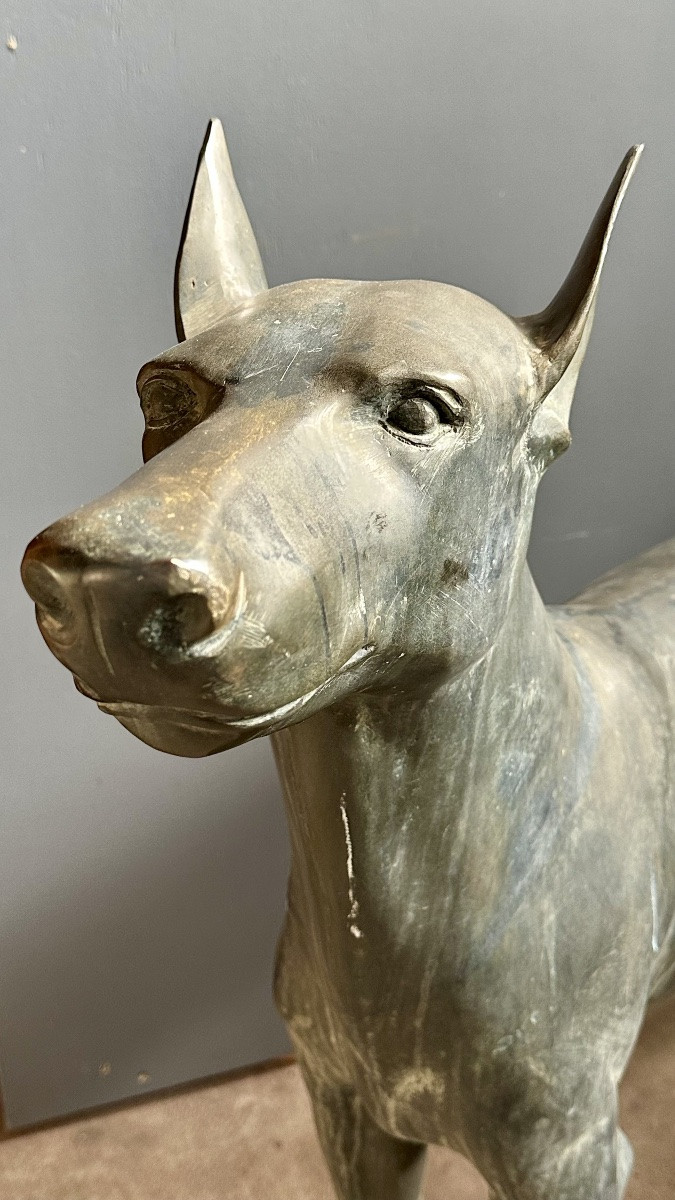 Sculpture en bronze représentant un lévrier stylisé (Xoloitzcuintli) - début du XXe siècle-photo-4