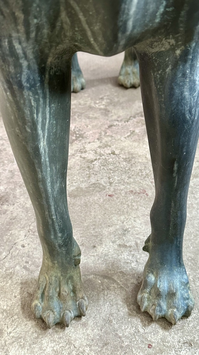 Sculpture en bronze représentant un lévrier stylisé (Xoloitzcuintli) - début du XXe siècle-photo-5