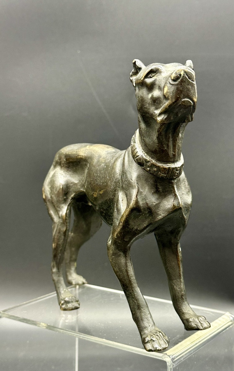 “waiting Dog” Sculpture In Patinated Bronze – 19th Century-photo-2