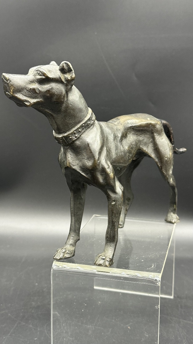 “waiting Dog” Sculpture In Patinated Bronze – 19th Century-photo-3