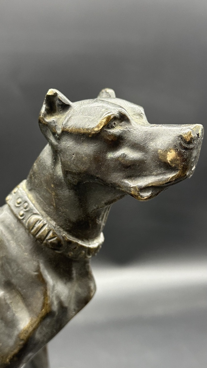 “waiting Dog” Sculpture In Patinated Bronze – 19th Century-photo-1