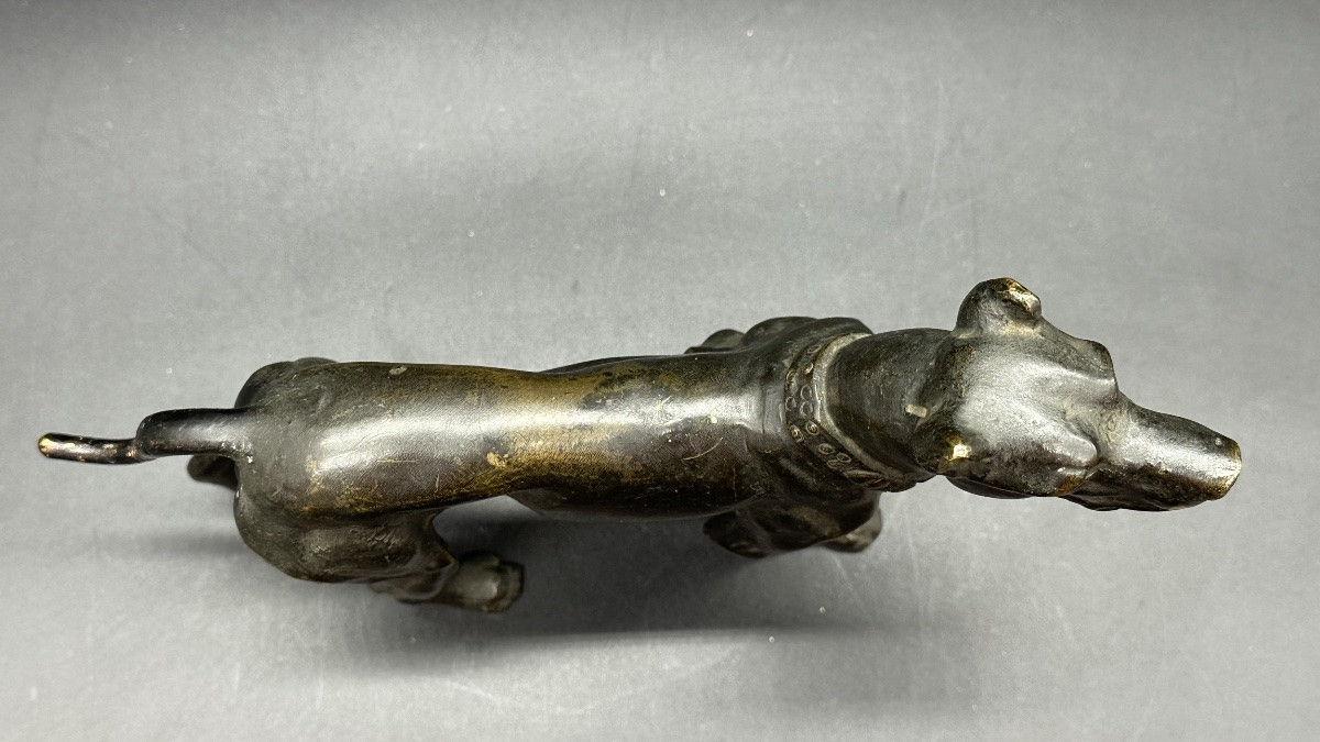 “waiting Dog” Sculpture In Patinated Bronze – 19th Century-photo-3