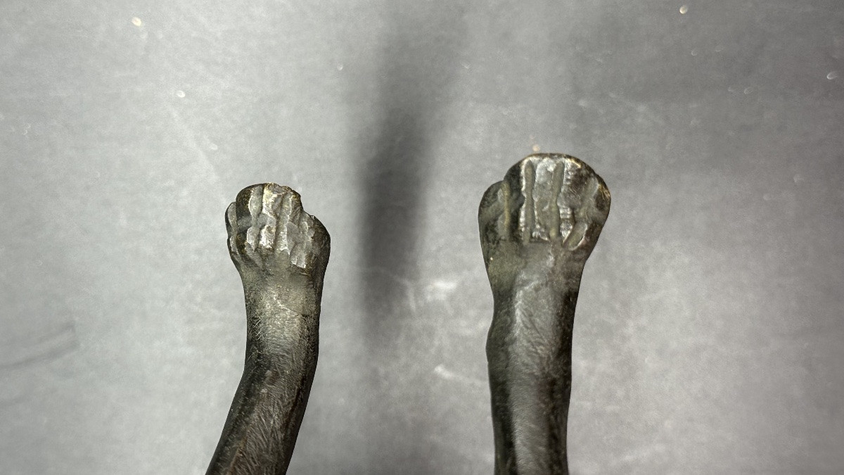 “waiting Dog” Sculpture In Patinated Bronze – 19th Century-photo-4