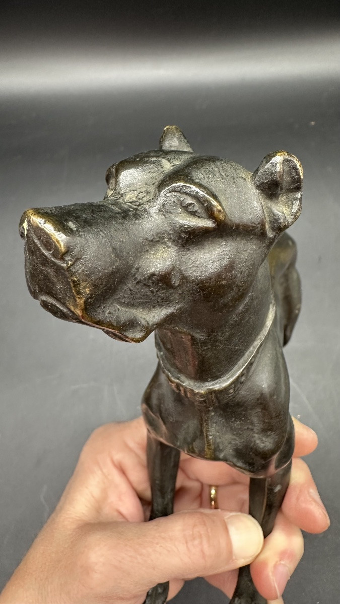 “waiting Dog” Sculpture In Patinated Bronze – 19th Century-photo-5