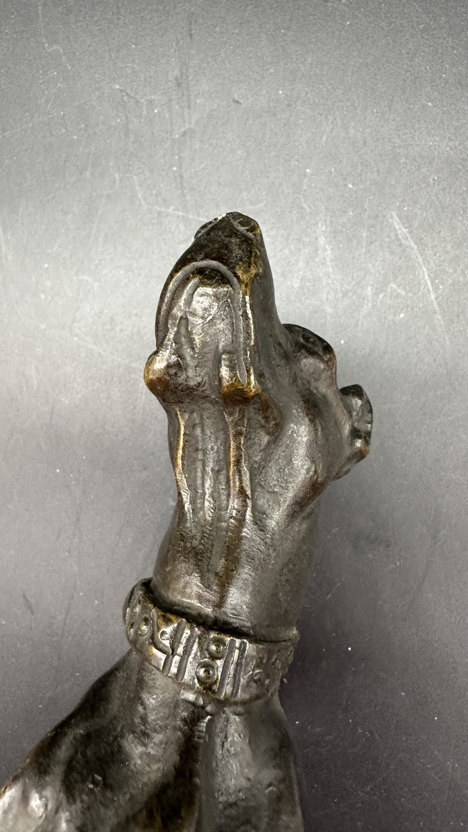 “waiting Dog” Sculpture In Patinated Bronze – 19th Century-photo-6
