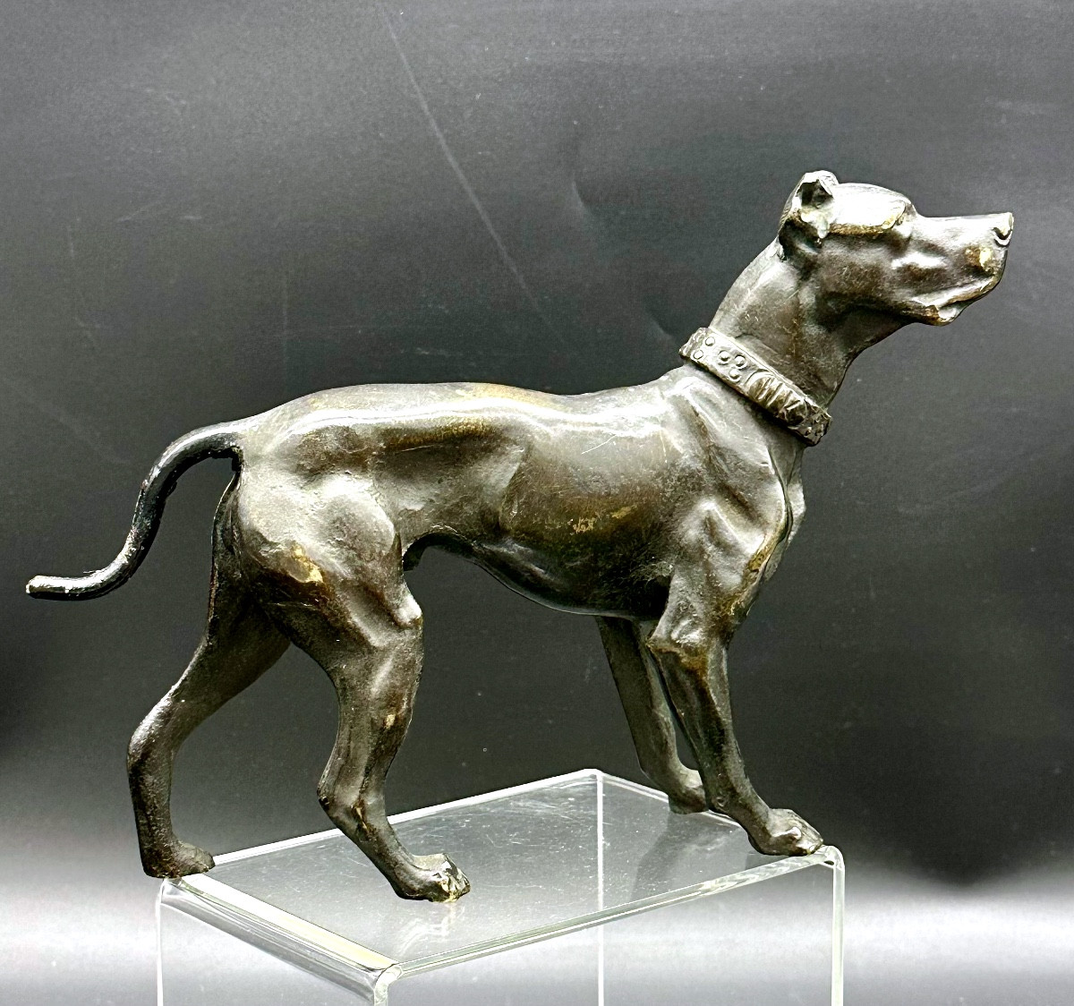 “waiting Dog” Sculpture In Patinated Bronze – 19th Century