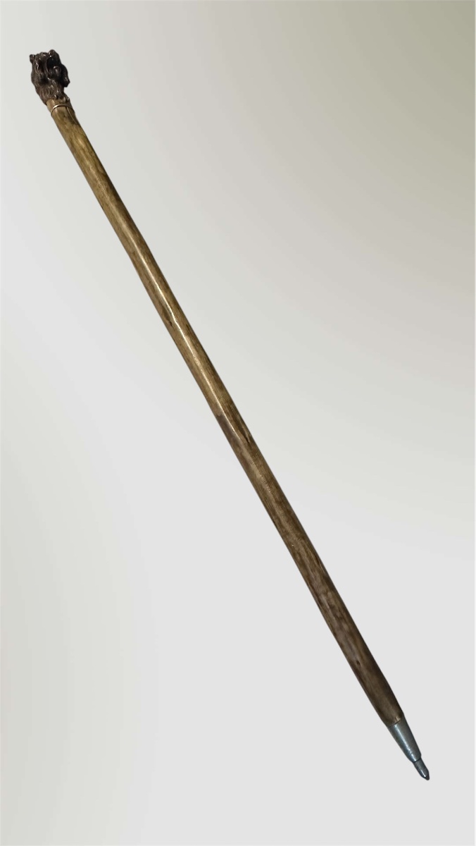 Walking Stick With A Carved Lion-head Handle - Napoleon III-photo-2
