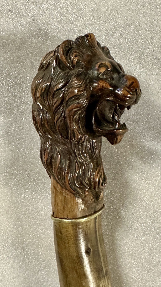 Walking Stick With A Carved Lion-head Handle - Napoleon III-photo-3