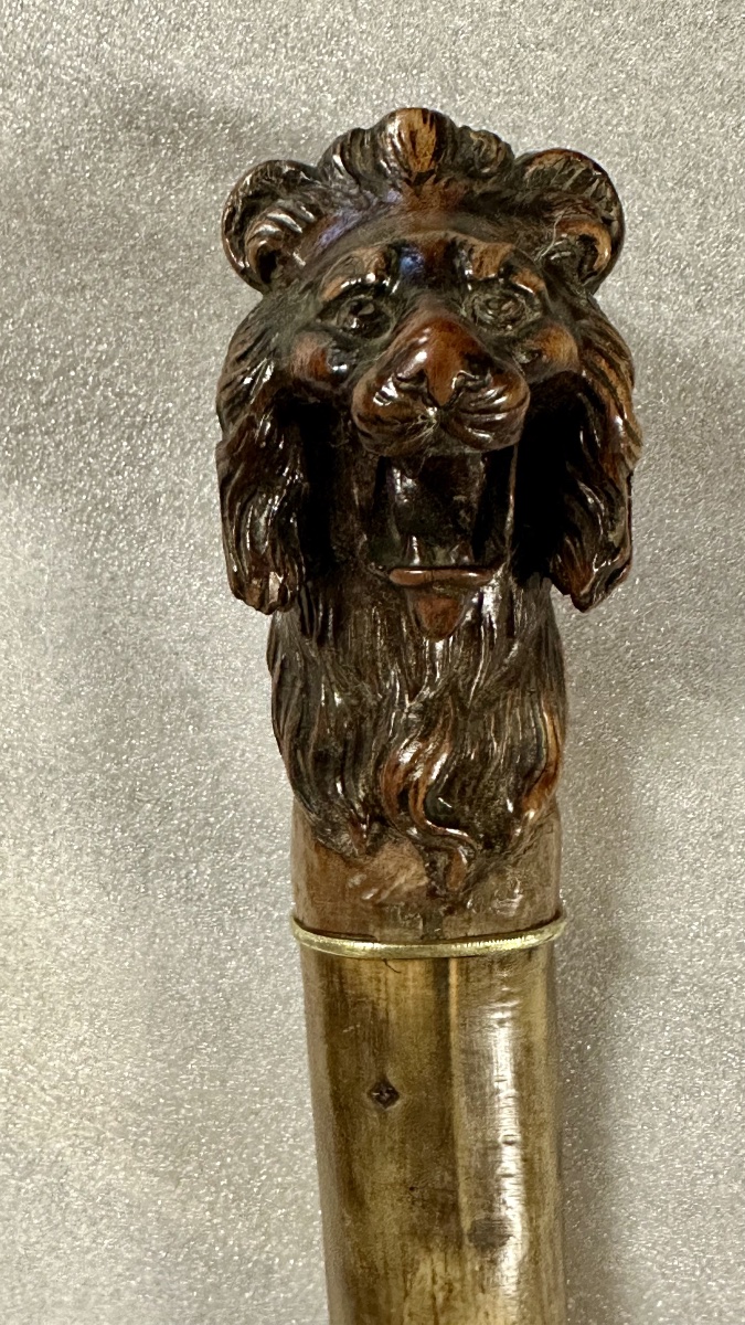 Walking Stick With A Carved Lion-head Handle - Napoleon III-photo-4