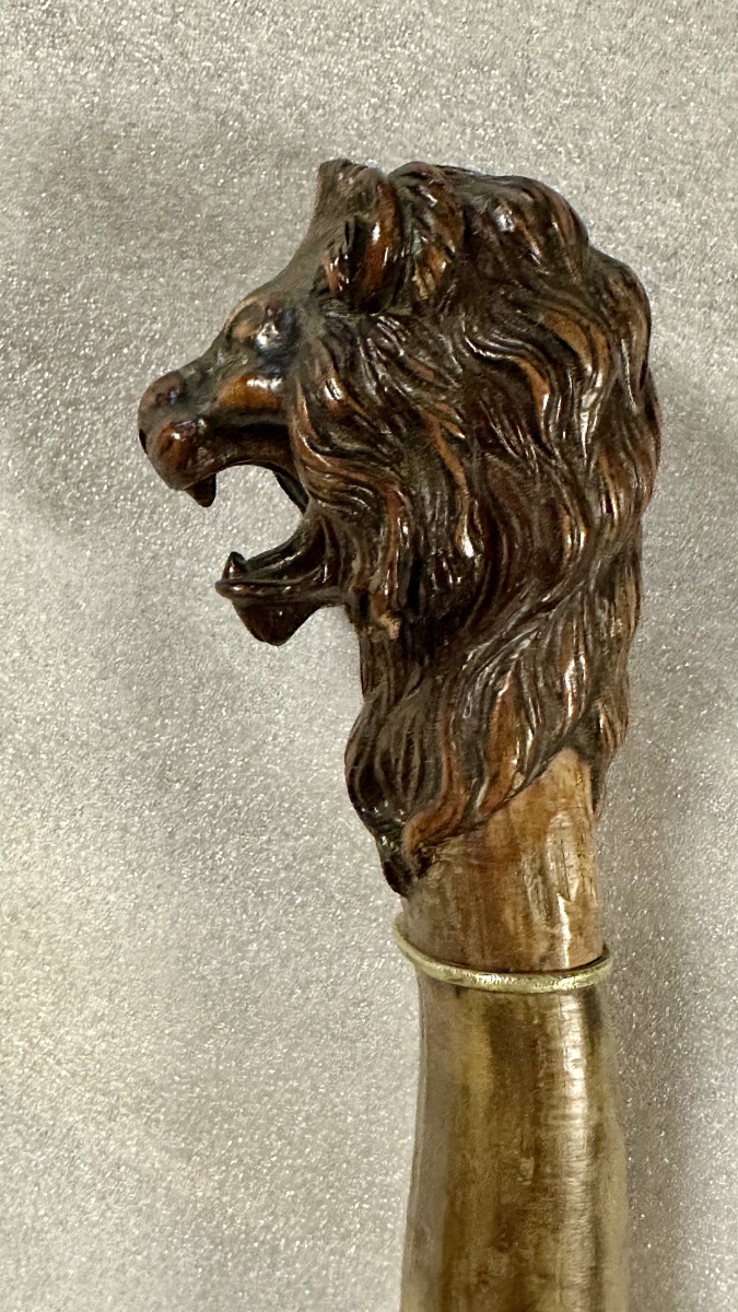Walking Stick With A Carved Lion-head Handle - Napoleon III-photo-1