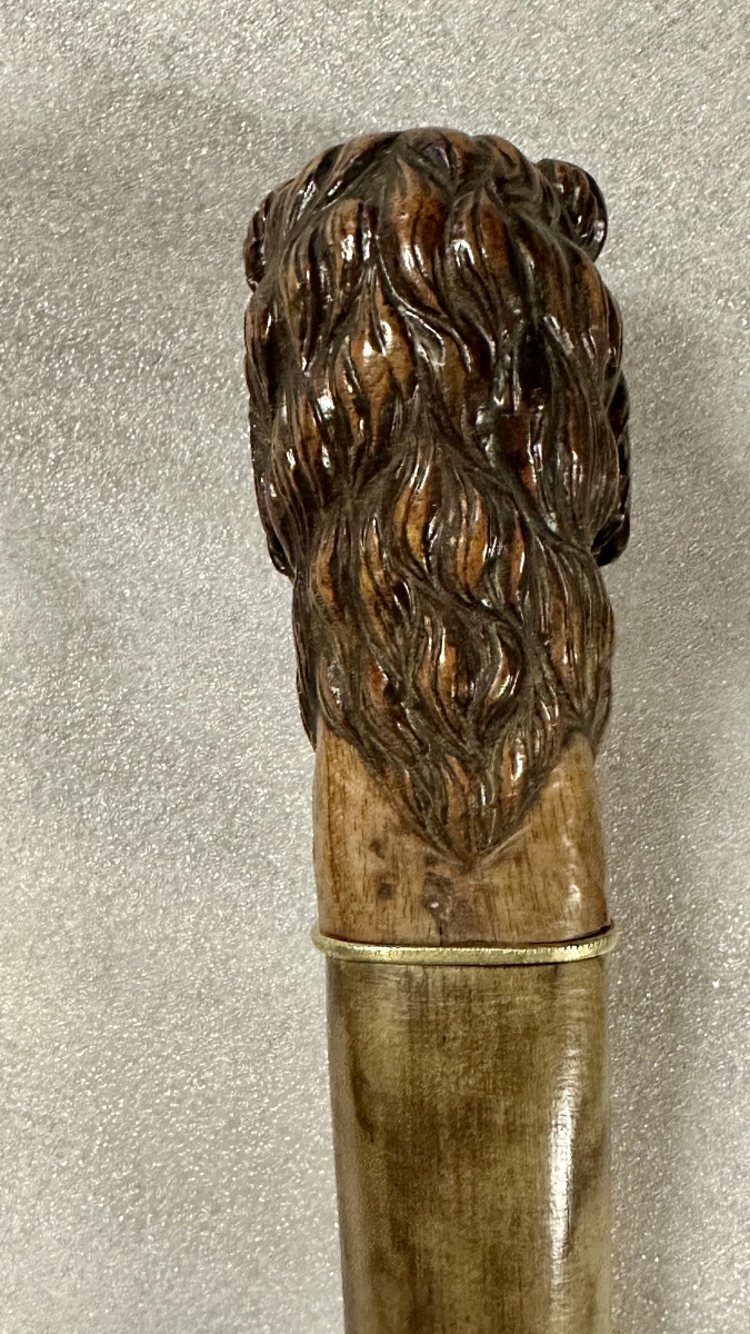 Walking Stick With A Carved Lion-head Handle - Napoleon III-photo-2