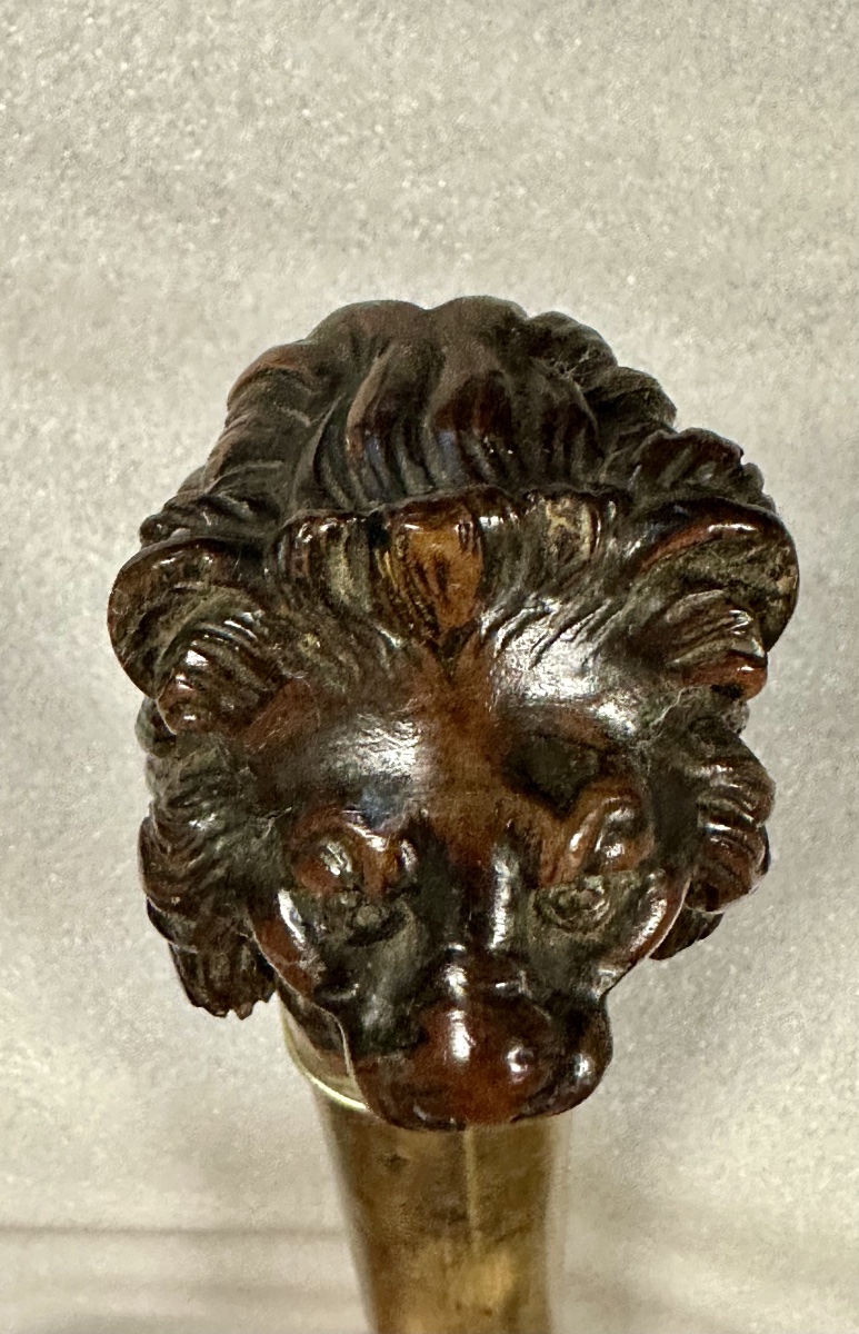 Walking Stick With A Carved Lion-head Handle - Napoleon III-photo-3