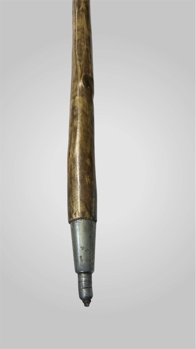 Walking Stick With A Carved Lion-head Handle - Napoleon III-photo-6