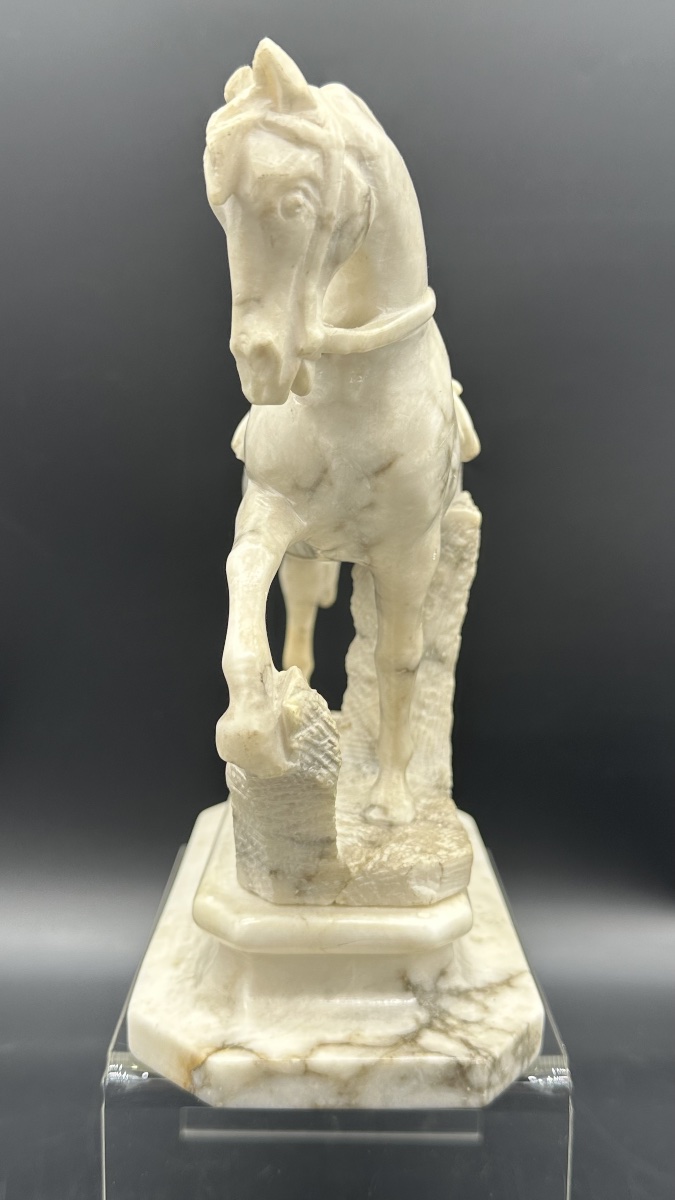 White Marble Equestrian Sculpture - 19th Century -photo-3