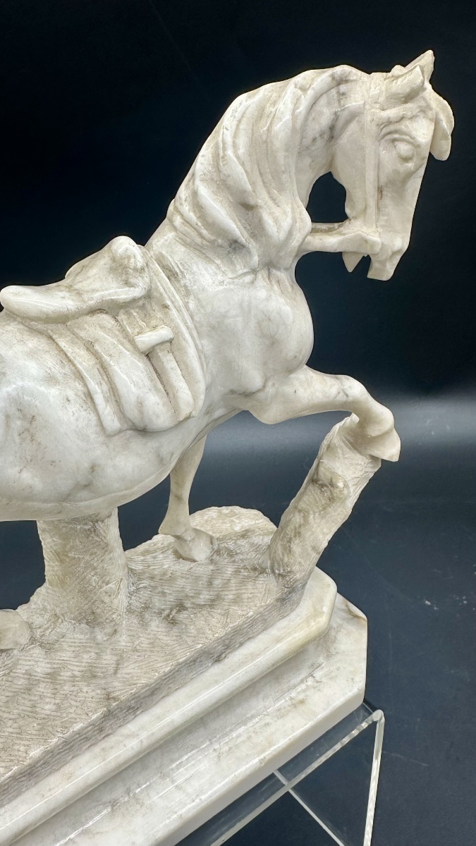 White Marble Equestrian Sculpture - 19th Century -photo-3