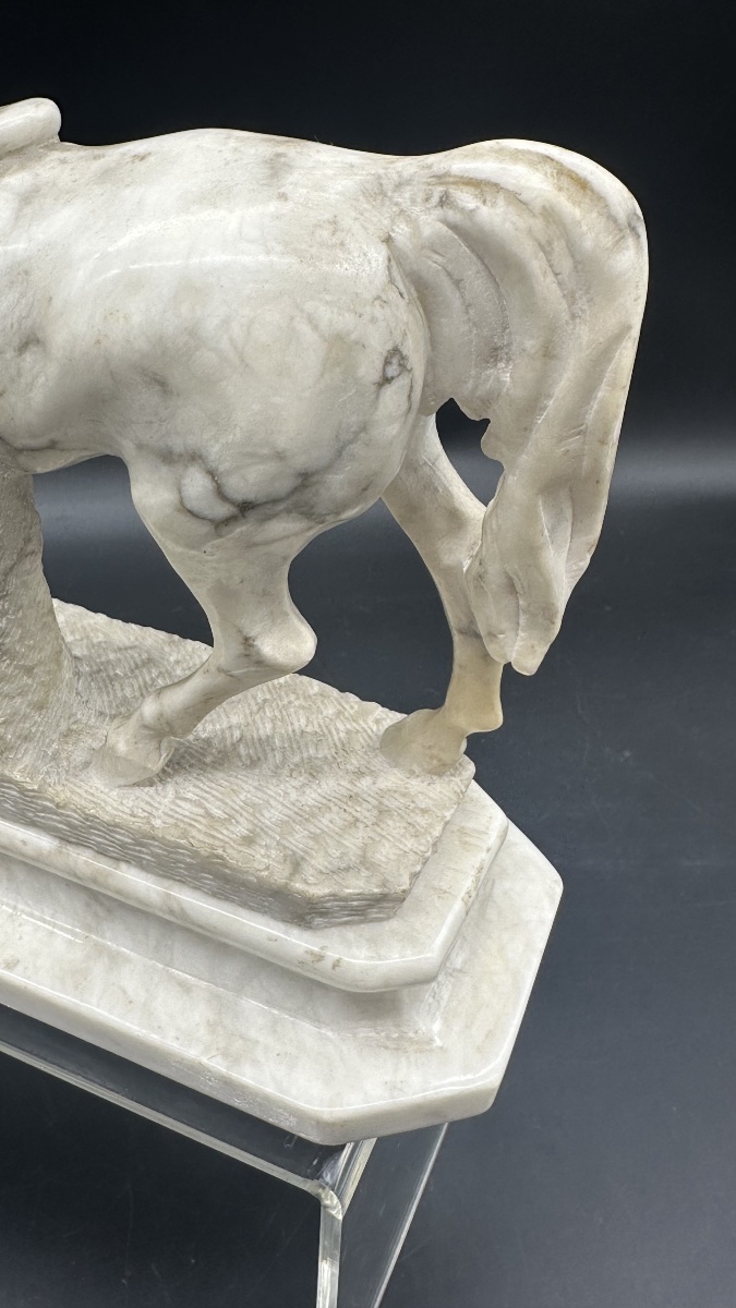 White Marble Equestrian Sculpture - 19th Century -photo-4