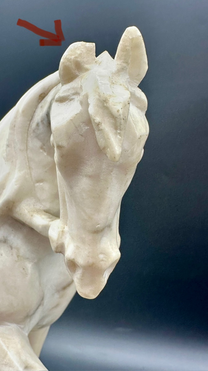 White Marble Equestrian Sculpture - 19th Century -photo-6