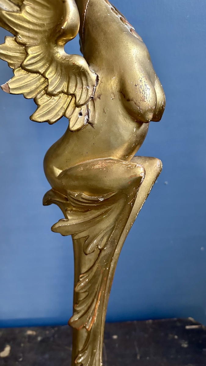 Neogothic Gilded Wooden Vase Stand – Winged Griffin, 19th Century -photo-5
