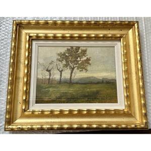 Tableau « Paysage avec arbres », signé Giuseppe Gheduzzi - XXe siècle