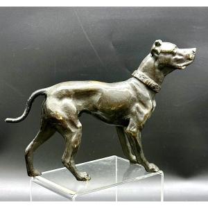 “waiting Dog” Sculpture In Patinated Bronze – 19th Century