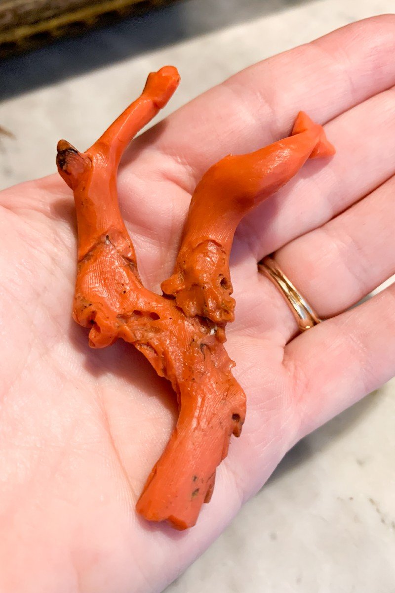 A Carved Coral Sculpture - Amulet  With Two Dolphins. XIX Century-photo-5