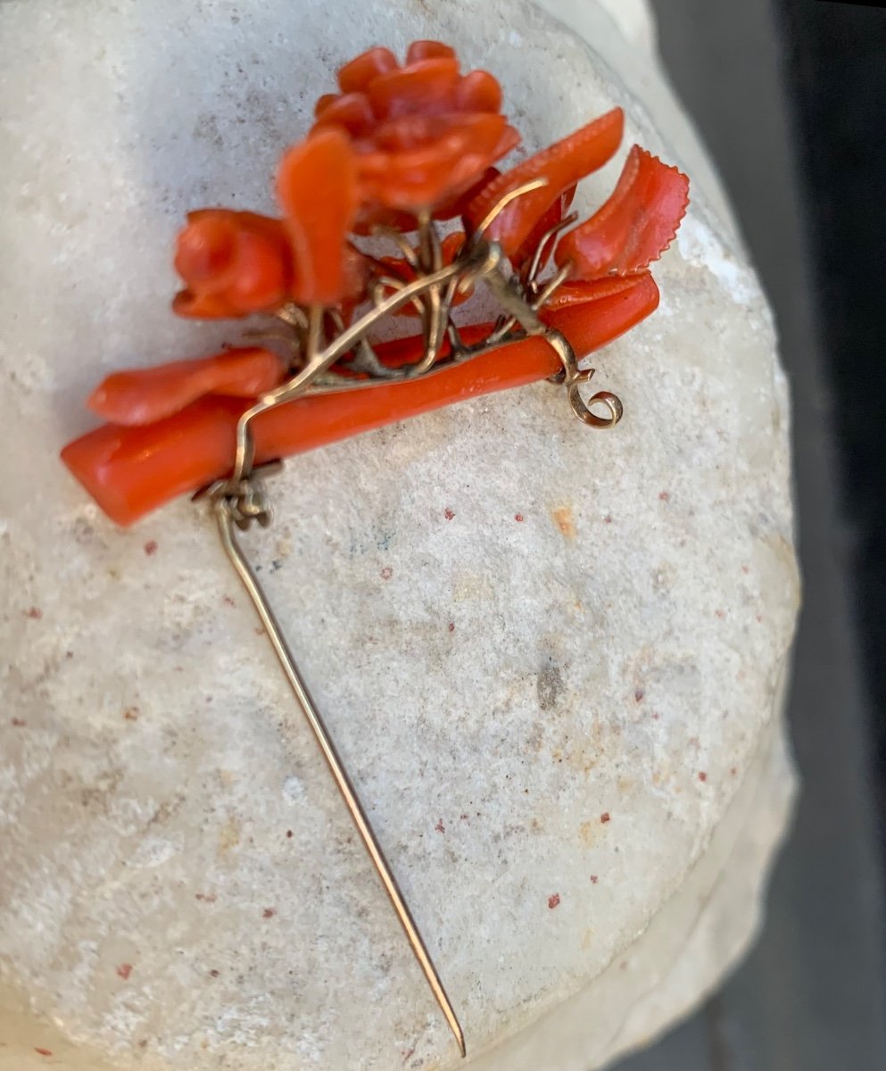 Coral Brooch. Naples. 19 Century. -photo-1