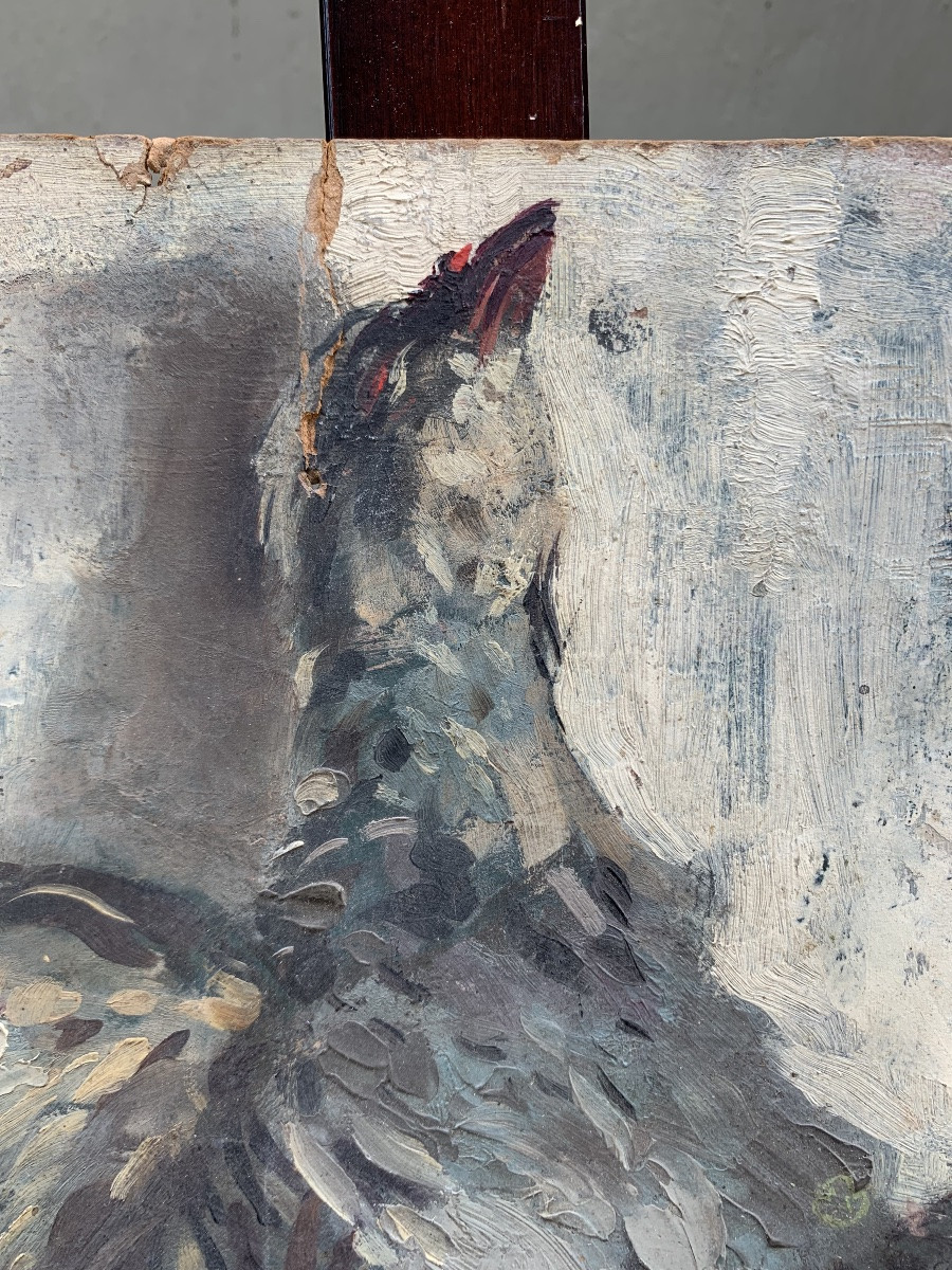 Still Life Sketch Of Freshly Plucked Game Hanging Oil On Cardboard, 23 X 38 Cm -photo-3